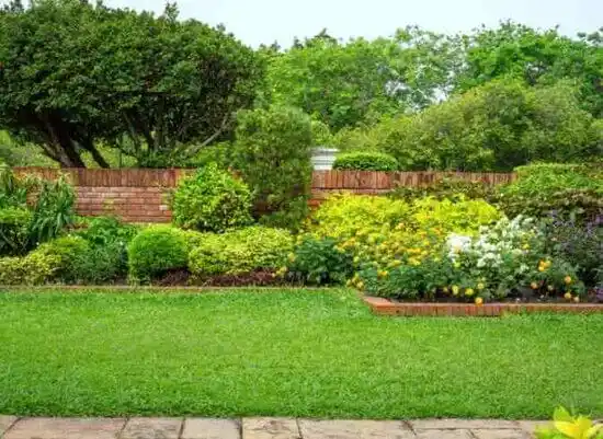 landscaping services Ashville